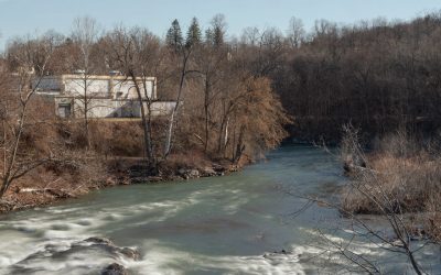 This Is How to Win an Environmental Fight