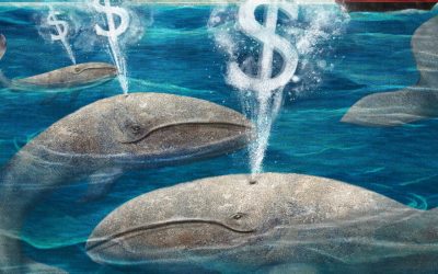 Help! A Cruise Line Charged Us $800 for a Day Trip We Didn’t Take.